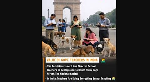 Teachers counting stray dogs.