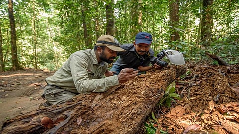 Dr Kalesh with eyes to the ground looking for tiny lives