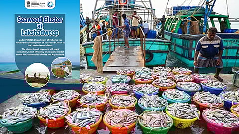 To promote fisheries, mariculture through entrepreneurship, technology