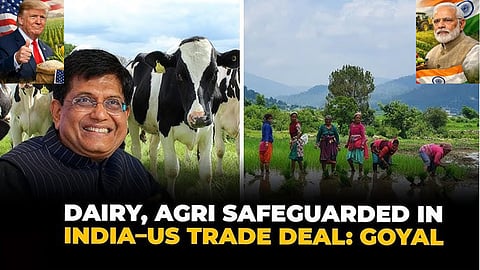 Agriculture, dairy sectors completely protected in trade deal with US: Goyal