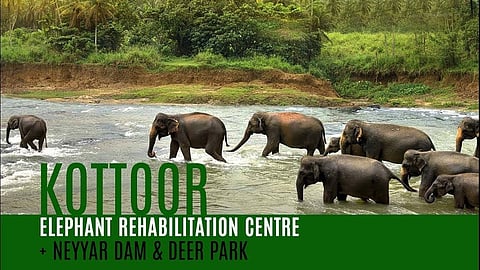 Mahout killed by jumbo at Kottoor elephant rehabilitation camp, Kerala