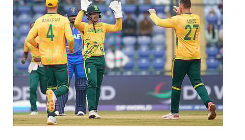 Brevis, bowlers make short work of UAE as SA finish group stage with all-win record