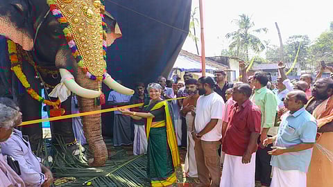 Voices for Asian Elephants Launches Robotic Elephants in Two Temples Today Amid Kerala’s Deadly Festival Crisis