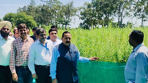 Union minister Dr. Jitendra Singh during his visit to the Cannabis Cultivation Farm of CSIR-Indian Institute of Integrative Medicine at Chatha near Jammu.