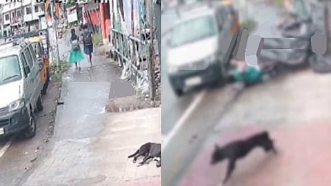 Three killed as motorcycle crashes into footpath 