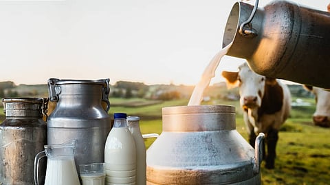 India's milk production up from 17 MT in 1950 to 247 MT in 2025: Official