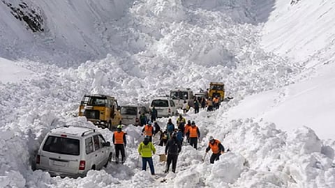 7 killed, 5 injured after multiple avalanches along Srinagar-Leh national highway