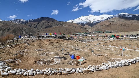 A trans-Himalayan cold desert urban forestry initiative 