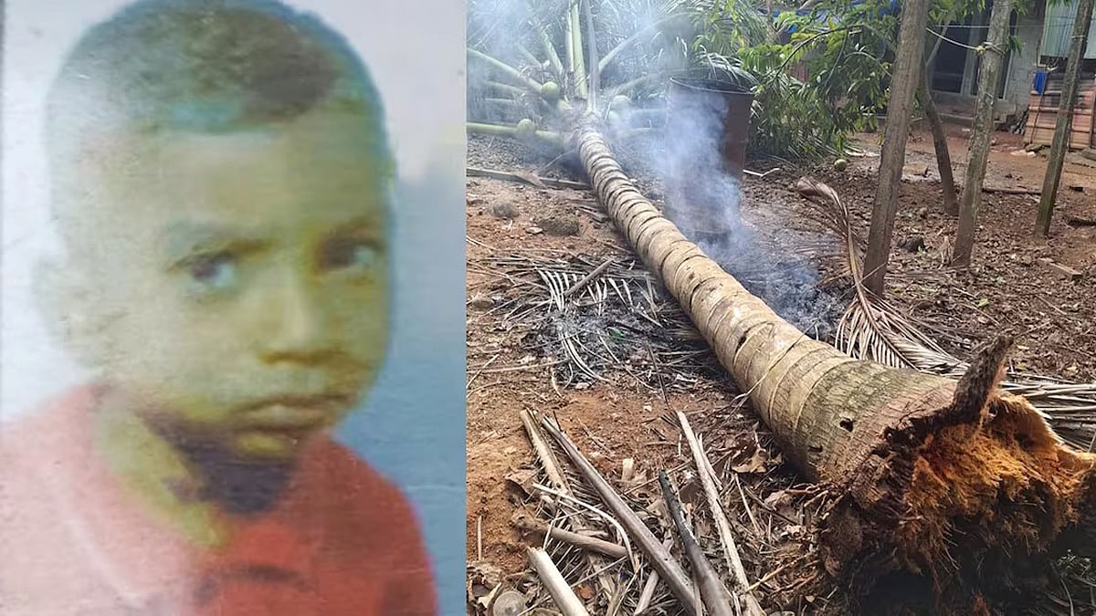 Boy dies after tree falls on him in Kerala(02)
