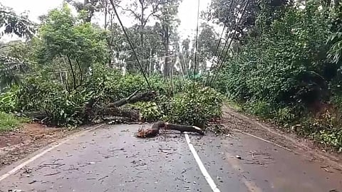 Khám phá Thế giới Giải trí Trực con đường cùng khôn cùng giá xe honda 50cc mới - Trải nghiệm cao nhất!