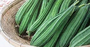 പച്ച മിടുക്കി പീച്ചിങ്ങ Health benefits of Ridge Gourd