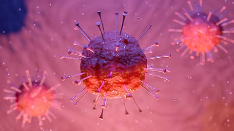 El 62% de los vacunados ya cuenta con esquema completo