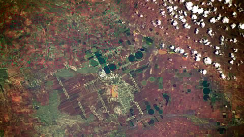 Las imágenes muestran las variadas formas y el contraste de colores en México