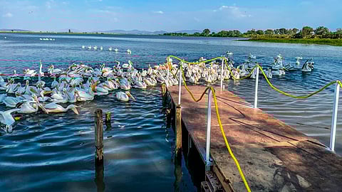 Hubo actividades artísticas, recreativas y deportivas