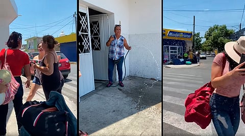 La supuesta dueña del árbol dijo que debía regar la calle, y por eso los mojó