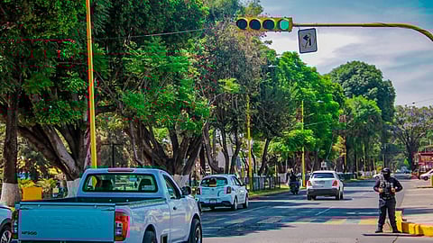 “Ola verde” consiste en que los semáforos estén sincronizados en un mismo color