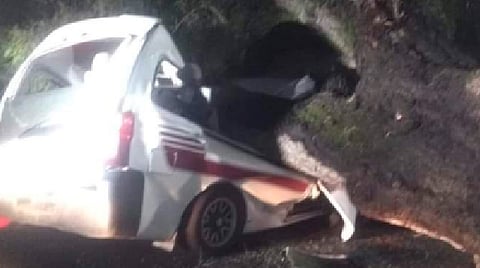 Muere conductor de combi aplastado por pesado árbol [Video]
