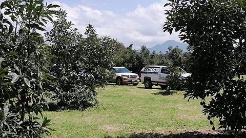 Ante la Fiscalía Regional de Uruapan fueron identificados los restos mortales de siete personas