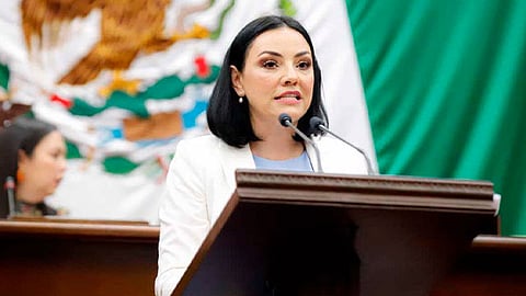 Hago un respetuoso llamada a las autoridades federales a fin de que ejecuten todas aquellas acciones que estimen necesarias a fin de salvar de la extinción a la mariposa monarca, señaló 