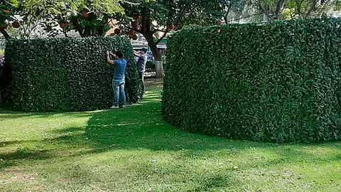 La Villa Navideña abarcará los jardines del Orquidario, los jardines que colindan con la calzada Ventura Puente; la Calzada Alfredo Maillefert y los estacionamientos ubicados entre la Calzada Alfredo Maillefert y el Planetario