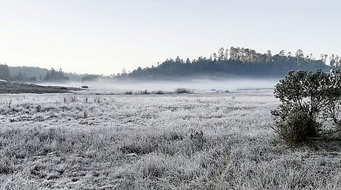 A días de Navidad, primera helada pinta de blanco en Michoacán