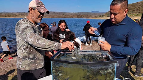 Con estas acciones se incentiva la producción pesquera del municipio para asegurar una buena producción en beneficio de los acuicultores y pescadores de la región