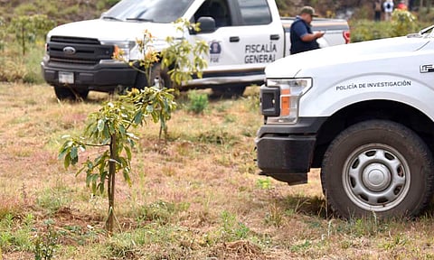 Controlados, intentos por fraccionar y sembrar aguacate en el Cerro del Águila: SADERMA