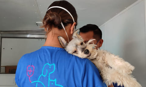 Tiene FGE 70 denuncias por maltrato animal; así puedes hacerlo tú también