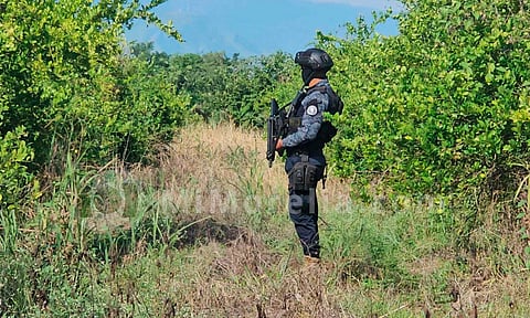 Lupe Mora pide diálogo con García Harfuch para tratar situación de Tierra Caliente, Michoacán