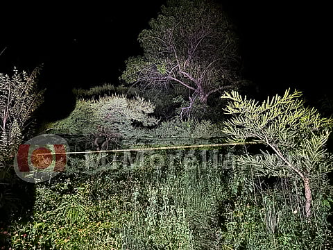 Detienen a 4 y destruyen narcolaboratorio en La Ruana 