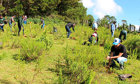 Ayuntamiento de Morelia se acerca al cierre de la Campaña de Reforestación 2023