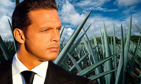 Luis Miguel ahora es dueño de famosa marca de tequila