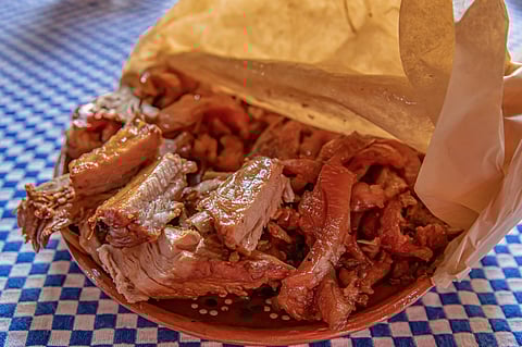 Habrá comida, bebidas, música y más en bosque de Morelia