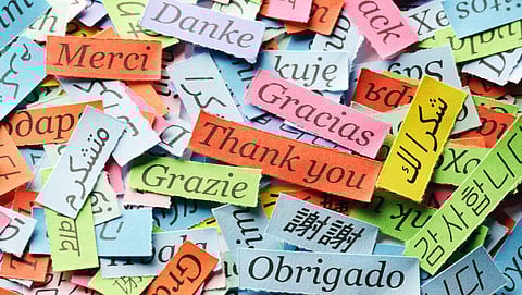 Continúa abierta convocatoria del Centro de Idiomas de Ceconexpo 