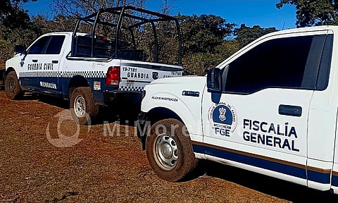 Michoacán: perro llega con mano humana en el hocico; encuentran 2 cuerpos enterrados