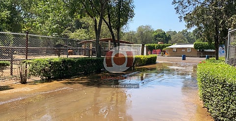 OOAPAS denuncia al Zoológico de Morelia ante Conagua y Profepa