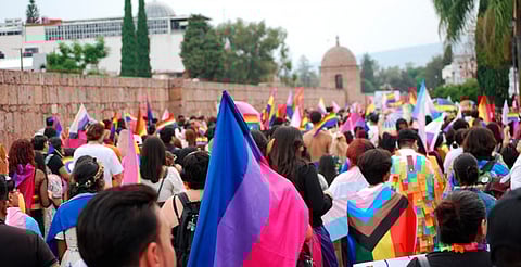 Sedebi ha entregado 240 apoyos a activistas de la diversidad sexual 
