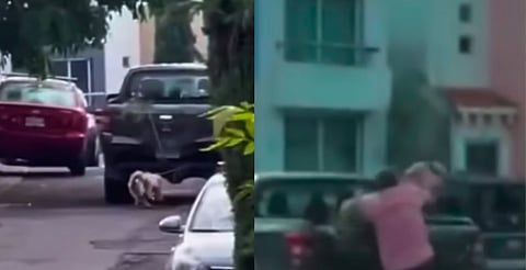 Conductor arrastra a perrito amarrado a camioneta [VIDEO]