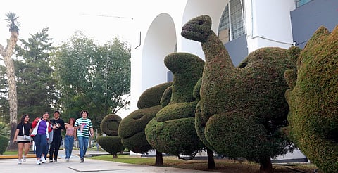 ¡Ya casi! Estas son las fechas de vacaciones de invierno en la UMSNH