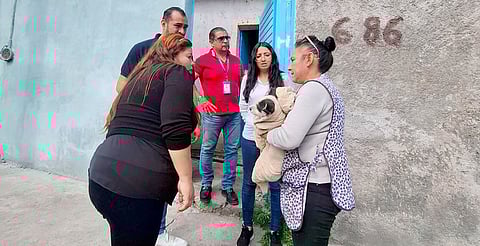 Rescatan en Morelia a perro abandonado en la Colonia Industrial