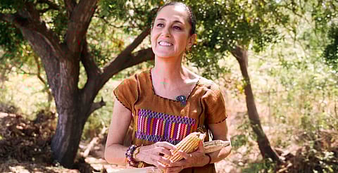 Envía Sheinbaum al Congreso de la Unión reforma para proteger el maíz mexicano