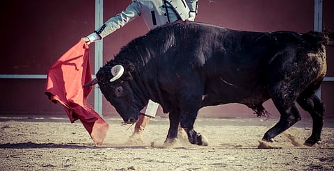 ¿Fin a las corridas de toros en Michoacán? Iniciativa busca prohibirlas