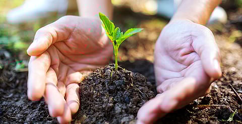 El objetivo es recuperar la riqueza de las áreas naturales