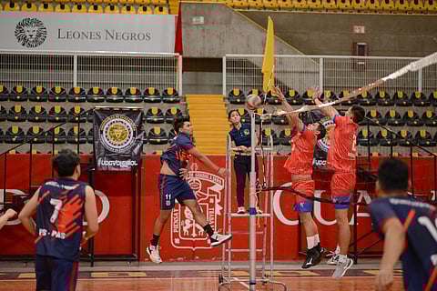 UMSNH convoca a visorías para su equipo de voleibol varonil