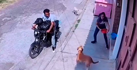 Exhiben a pareja por robar comida para perros callejeros [VIDEO]