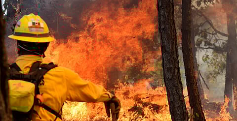 Preliberados y sentenciados se sumarán a brigadas contra incendios en Michoacán