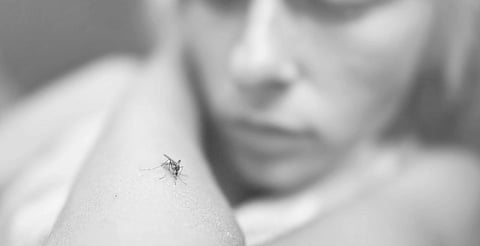 Michoacán reporta su primera defunción por dengue en 2025; suma 180 casos