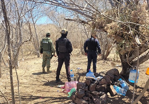 Localizan 3 campamentos clandestinos en Apatzingán