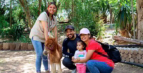 Zoológico de Morelia anuncia horario vacacional hasta el 27 de abril
