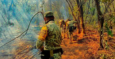 Ejército Mexicano aplica Plan DN-III-E en Incendio Forestal en el Municipio de Zacapu
